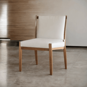 Reclining Chair Product Image